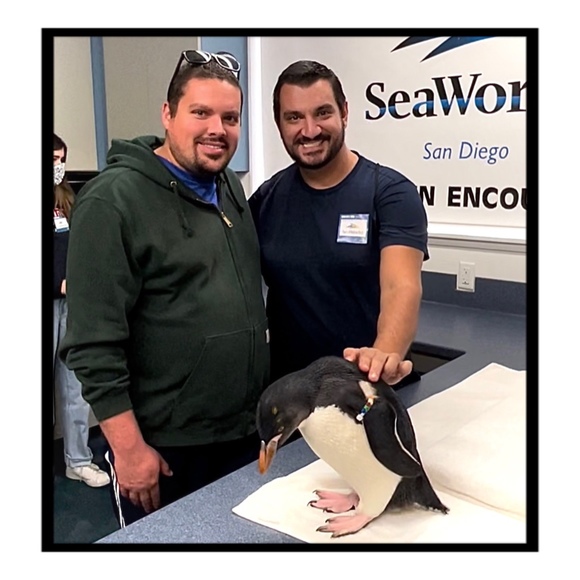 Meet your Posher, Posh - Picture 1 of 1